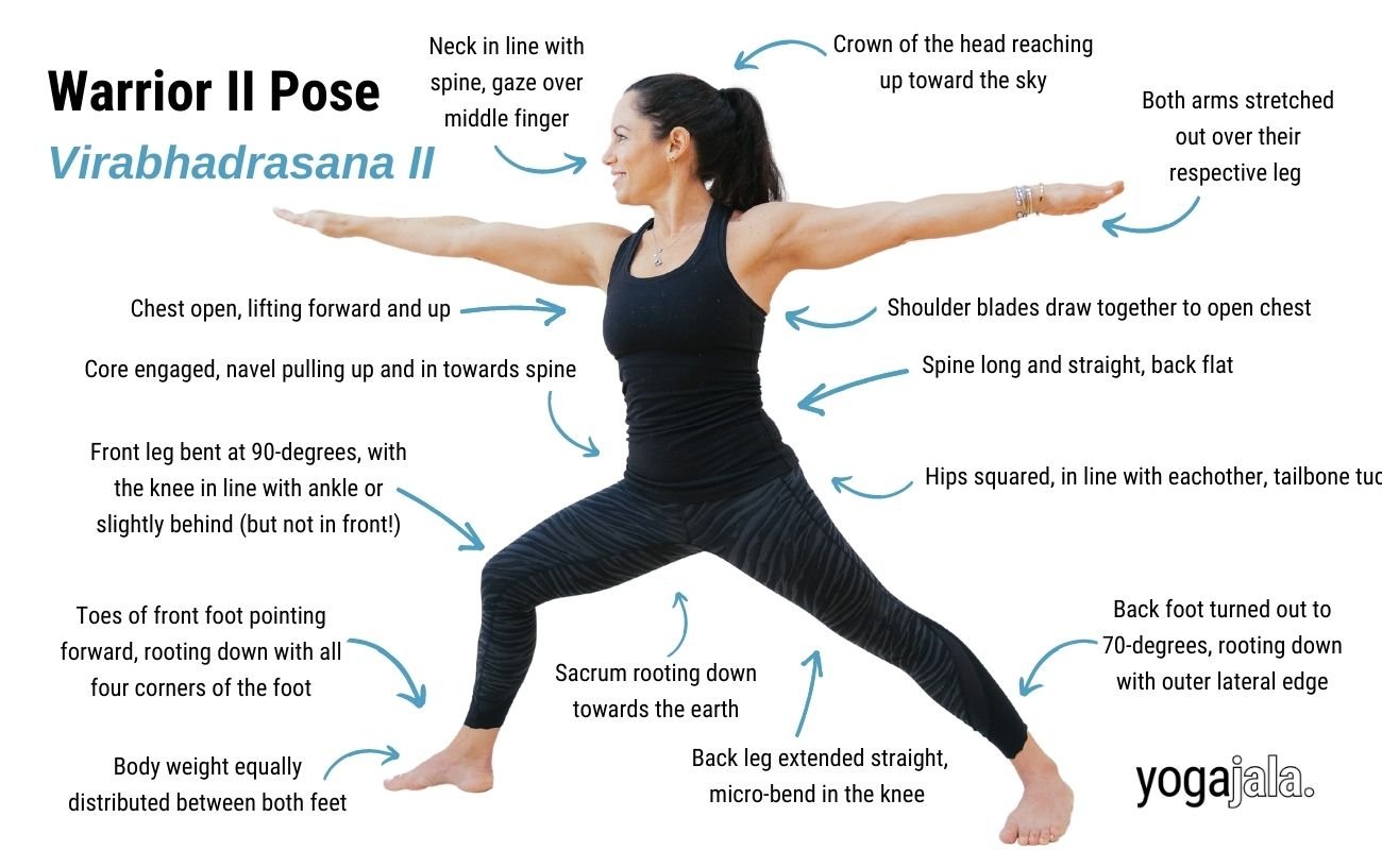 an annotated image of a woman doing warrior  2
pose