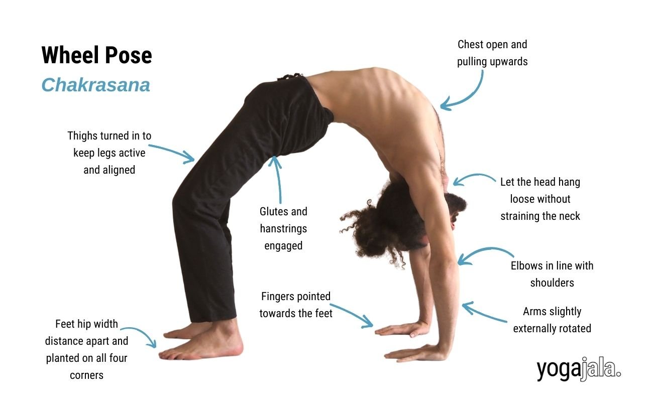 Wheel Pose (Chakrasana)