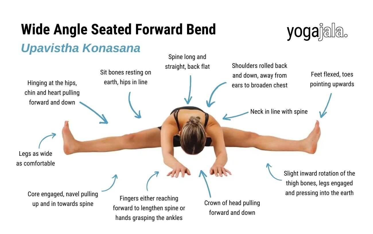 Wide Angle Seated Forward Bend (Upavistha Konasana)