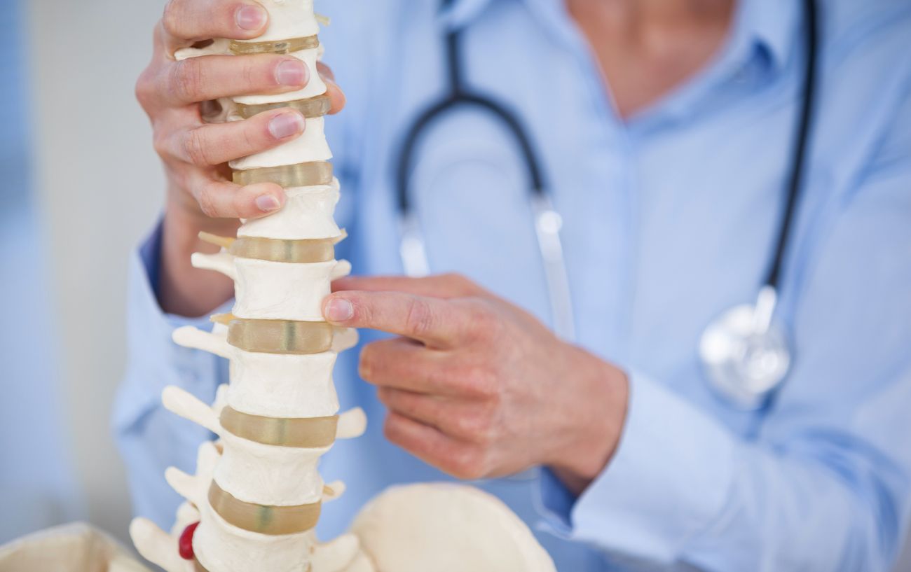 A doctor holding a spine model.