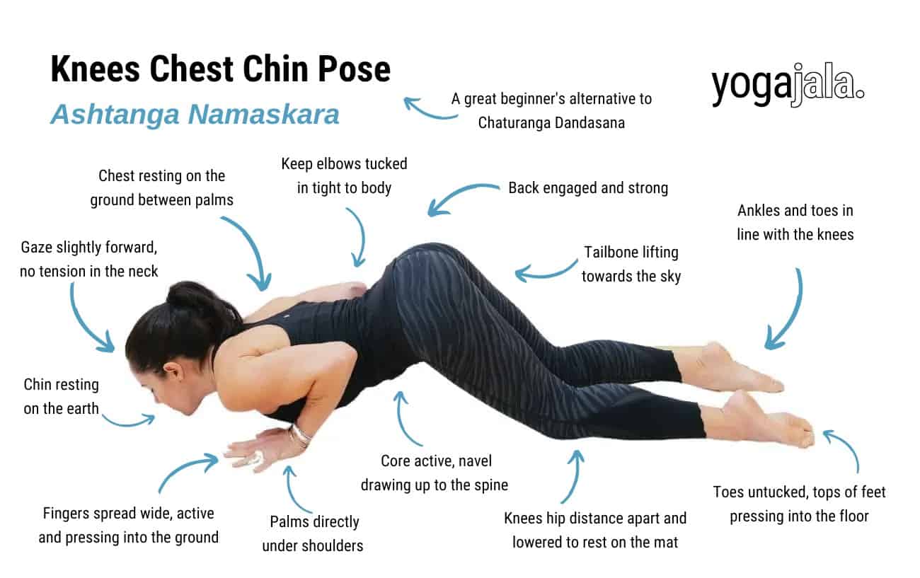 Knees Chest Chin Pose (Ashtanga Namaskara)