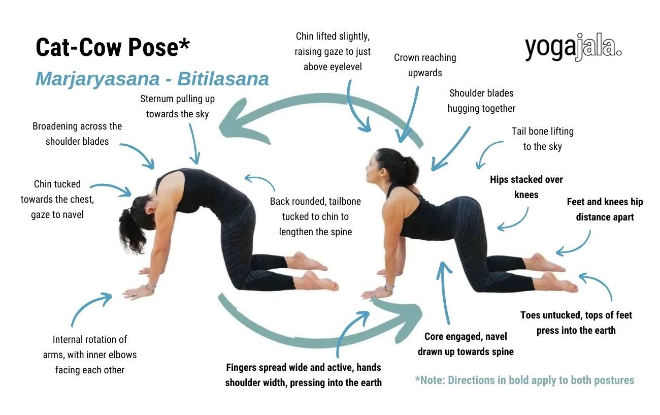 Cat-Cow Pose (Marjaryasana-Bitilasana)