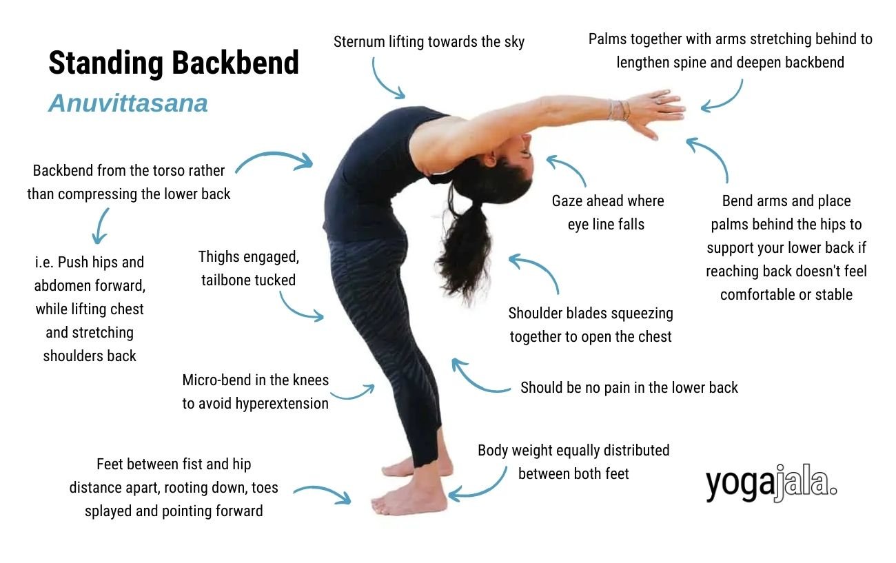 Standing Backbend Pose (Anuvittasana)