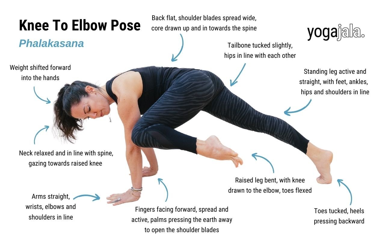 an annotated image of a woman wearing black yoga clothes doing knee to elbow plank pose