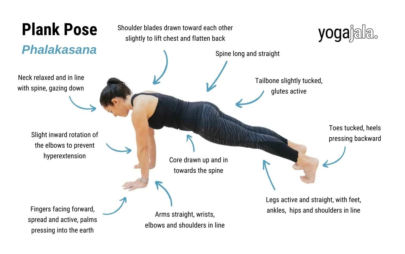 annotated image of a woman doing high plank pose