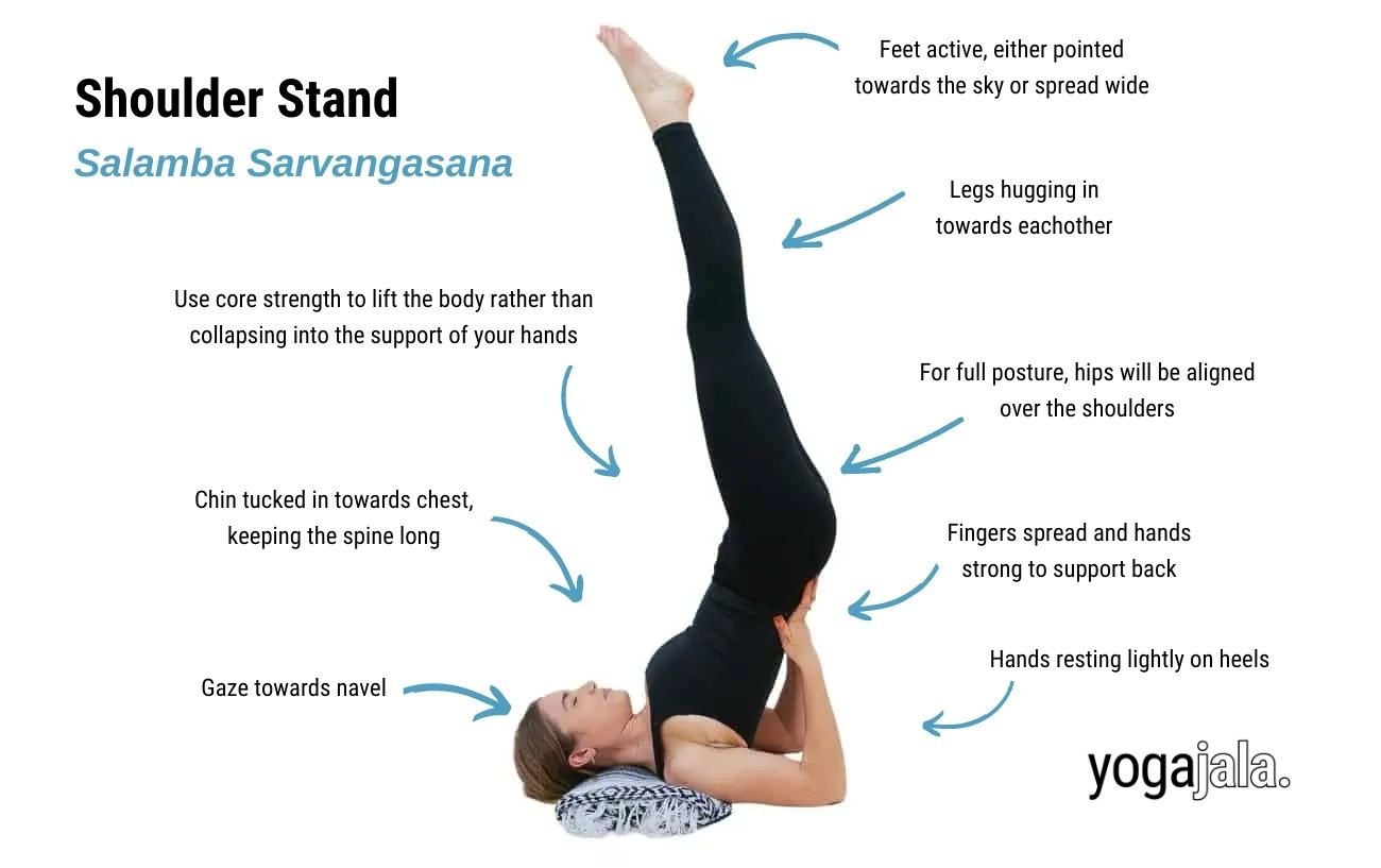 Shoulder Stand Pose (Salamba Sarvangasana)