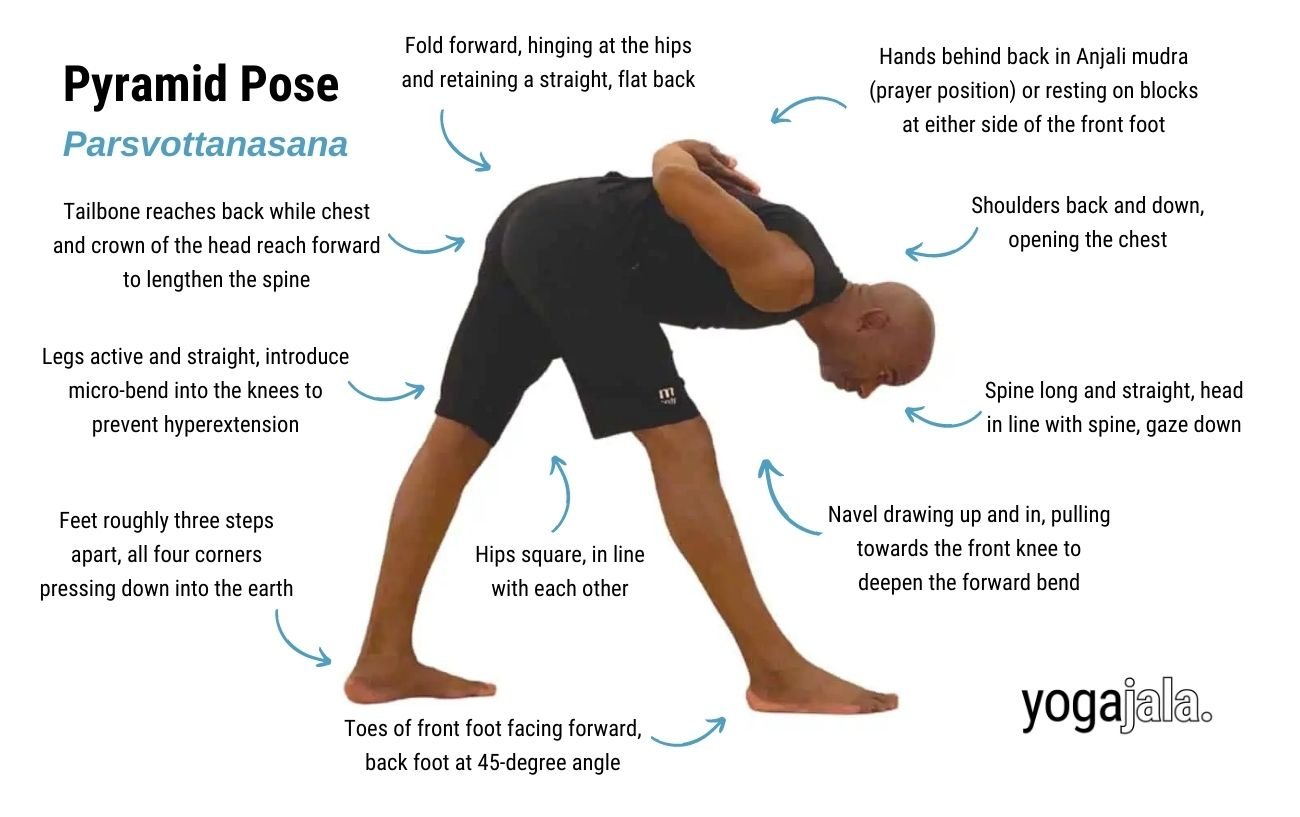 an annotated image of a man wearing black yoga clothes doing pyramid pose