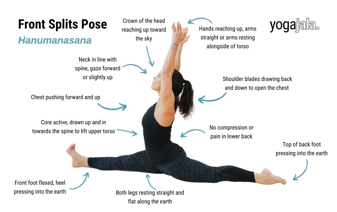 an annotated image of a woman wearing black yoga clothes doing front splits pose