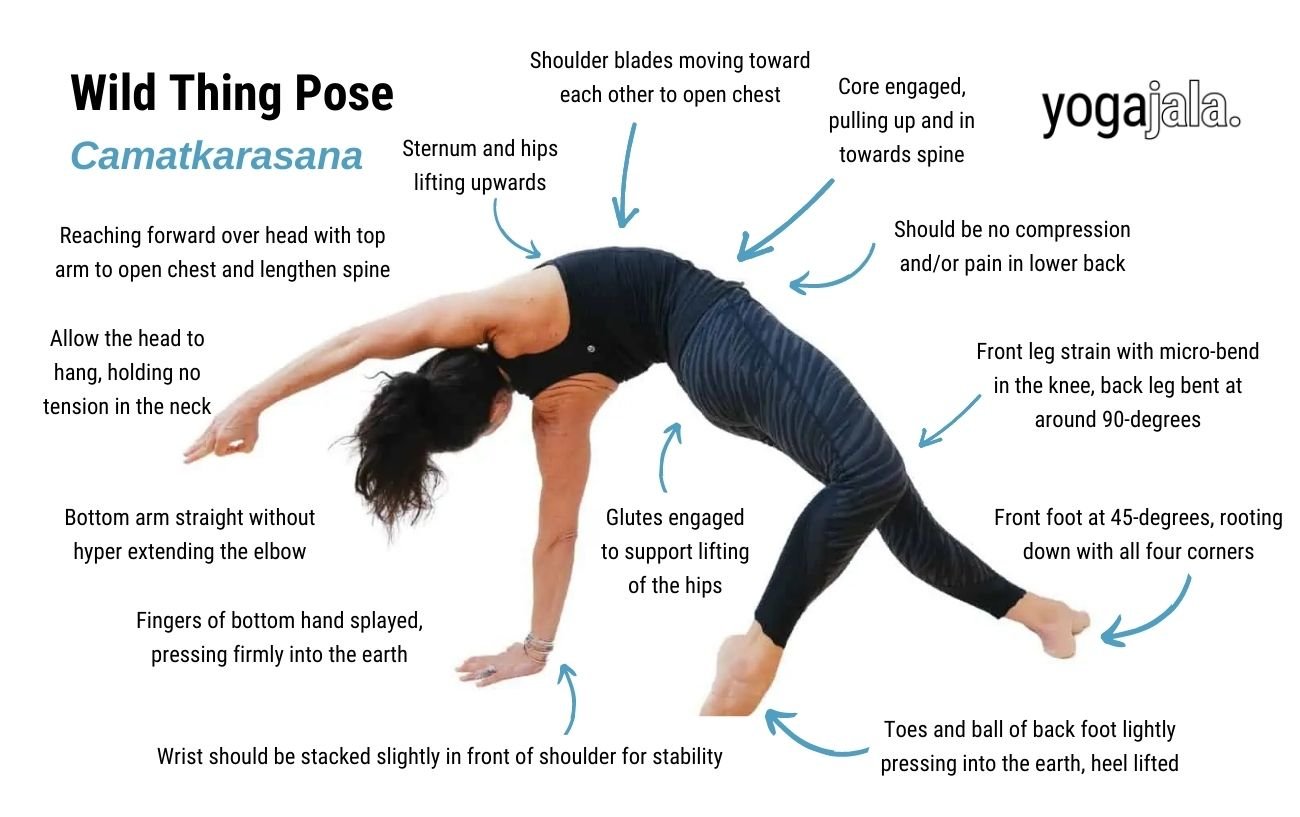 Wild Thing Pose (Camatkarasana)