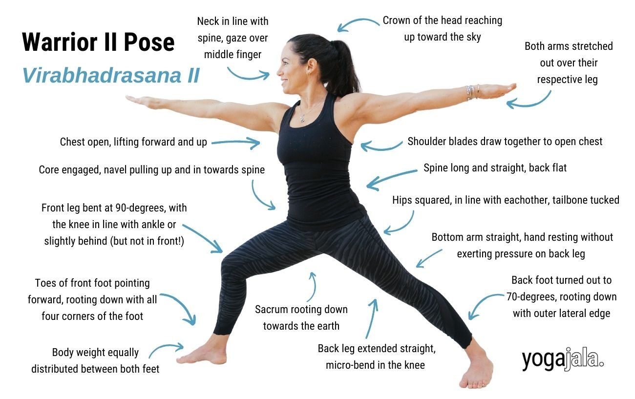 an annotated image of a woman wearing black yoga clothes doing warrior 2 pose, one of the yoga poses for beginners