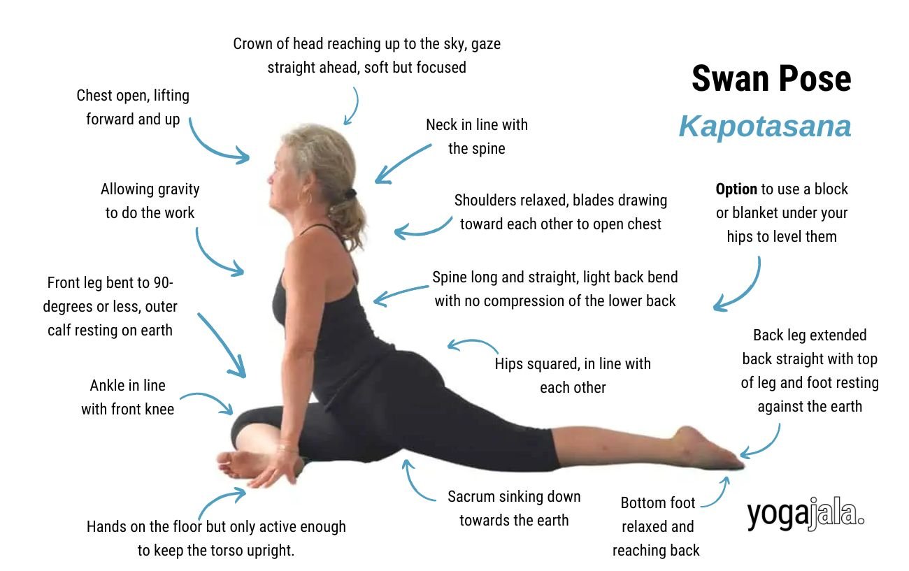 Swan Pose (Ardha Kapotasana)