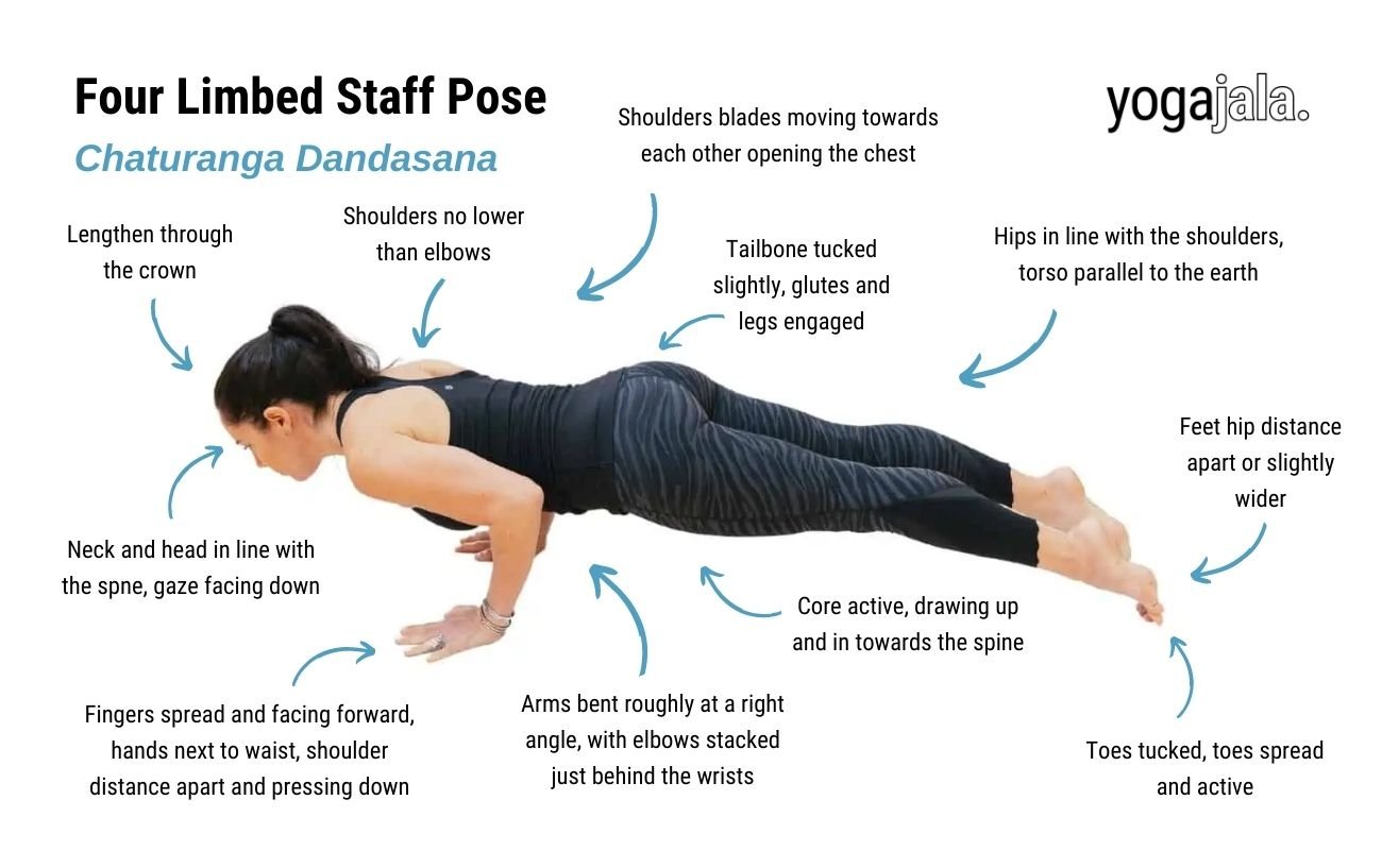 an annotated image of a woman wearing black yoga clothes doing four limbed staff pose