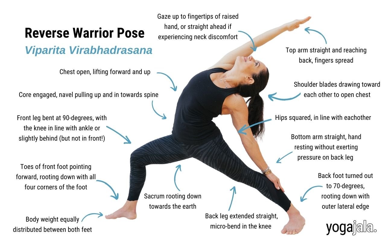 an annotated image of a woman in reverse warrior pose