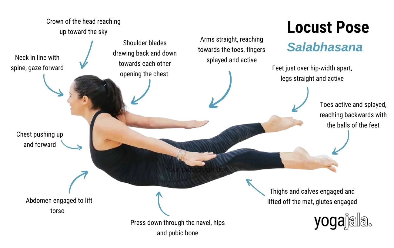 Locust Pose (Salabhasana)