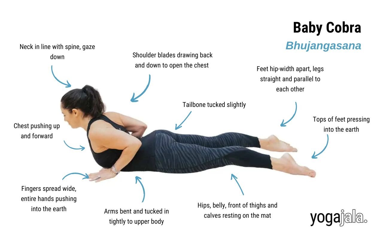 Baby Cobra Pose (Bhujangasana)