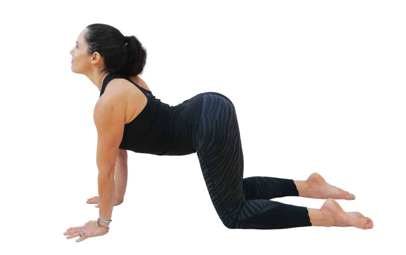 photo of a woman in black yoga clothes doing cow pose