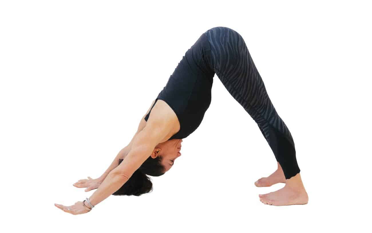 photo of a woman in downward facing dog